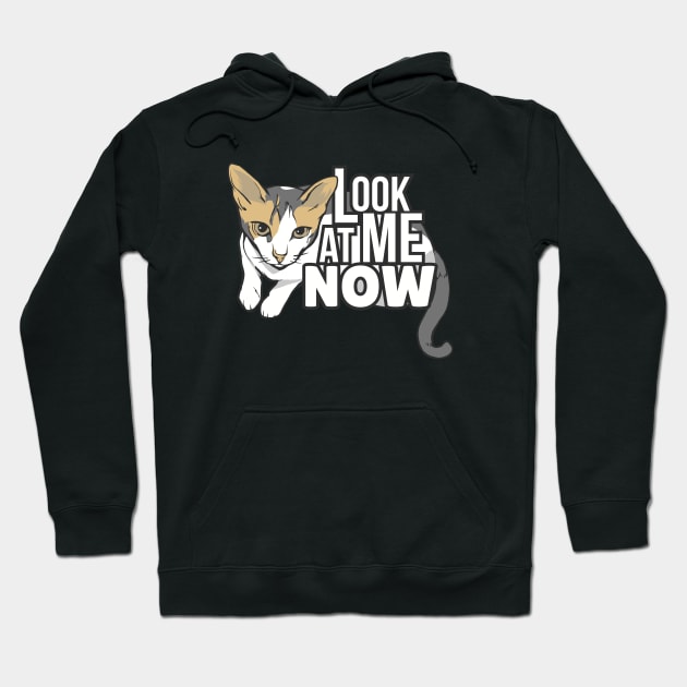 Look at me now - funny cat design Hoodie by LR_Collections